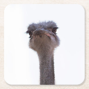 Porta-copo De Papel Quadrado Ostrish Coffee Mug Invent Chaveiro