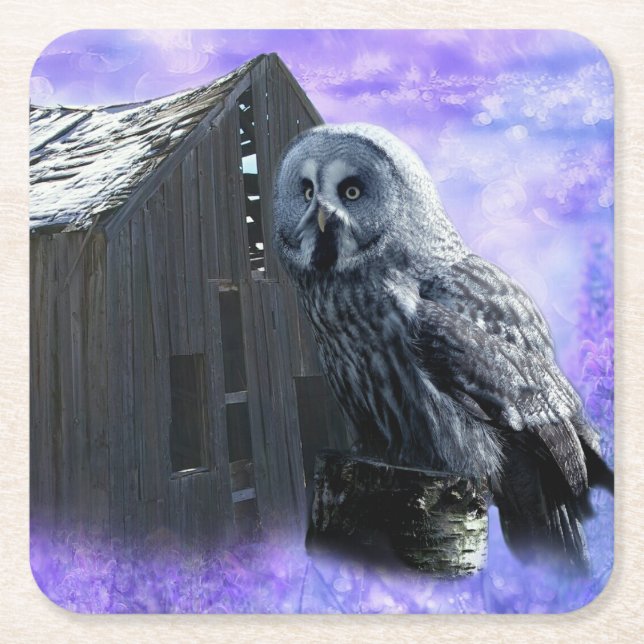 Porta-copo De Papel Quadrado Owl Barn Shed (Frente)