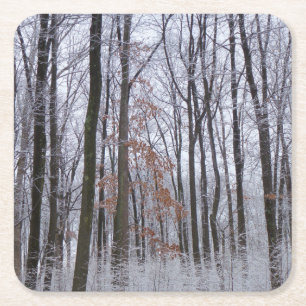 Porta-copo De Papel Quadrado Paisagem de inverno na Floresta de Neve Dusted Fot
