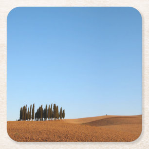 Porta-copo De Papel Quadrado Paisagem de Toscânia com a porta copos das árvor
