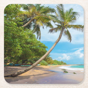 Porta-copo De Papel Quadrado Palma de coco, praia Sri Lanka de Mirissa