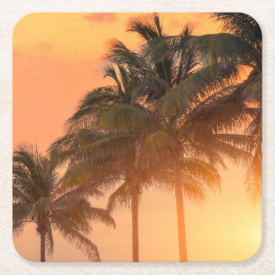 Porta-copo De Papel Quadrado Palmas de Miami