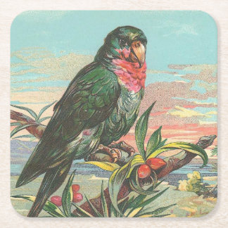 Porta-copo De Papel Quadrado Papagaio