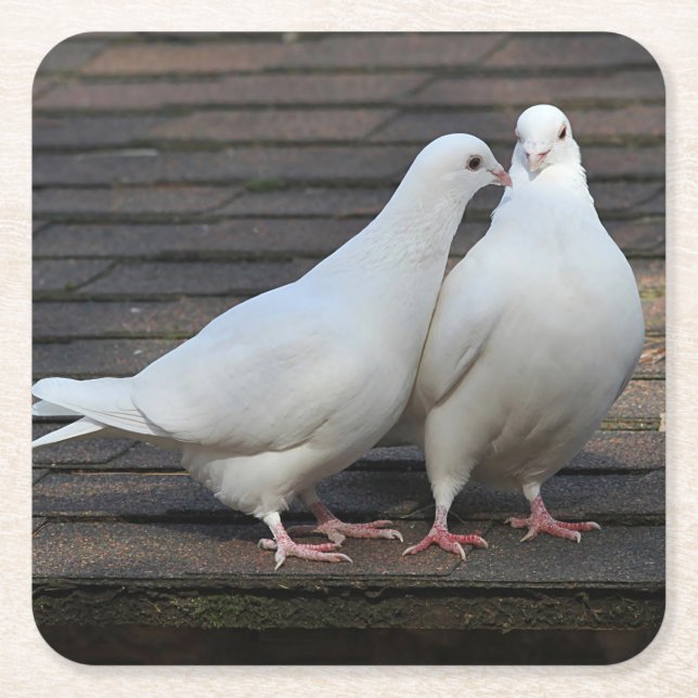 Porta-copo De Papel Quadrado Pares das pombas brancas (Frente)