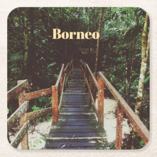 Porta-copo De Papel Quadrado Parque Nacional Bako - Bornéu