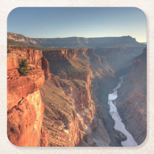 Porta-copo De Papel Quadrado Parque nacional do Grand Canyon, EUA