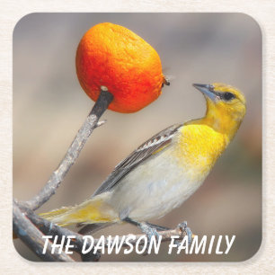 Porta-copo De Papel Quadrado Pássaro Selvagem de Fecho