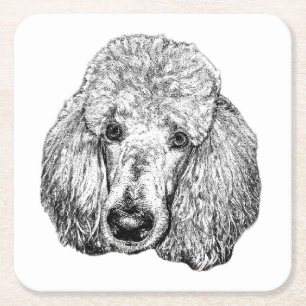 Porta-copo De Papel Quadrado Passeio de Cão Poodle – Arte Facial Preto e Branco