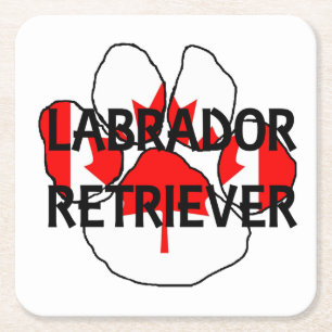 Porta-copo De Papel Quadrado Pata flg de nome LR