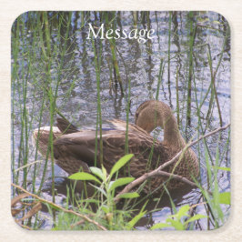 Porta-copo De Papel Quadrado Pato Preening nos Leeds