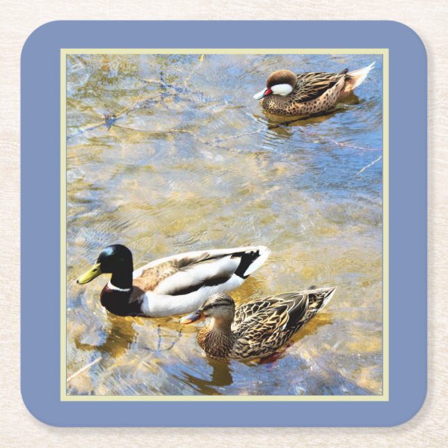 Porta-copo De Papel Quadrado Patos (Frente)