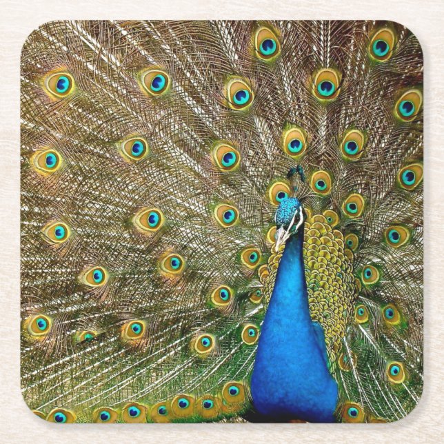 Porta-copo De Papel Quadrado Peacock Pattern Peacock Trabalho de arte Painting  (Frente)