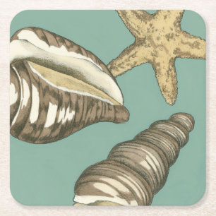 Porta-copo De Papel Quadrado Pequena Shell Trio no Teal