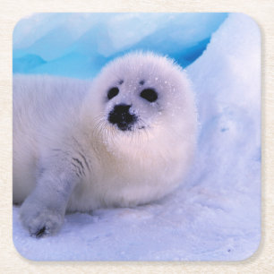 Porta-copo De Papel Quadrado Pequeno Selo de Harp Coberto em Flocos de Neve