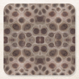 Porta-copo De Papel Quadrado Petoskey Stone Michigan State stone fóssil