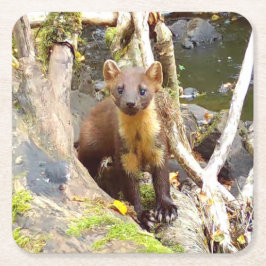 Porta-copo De Papel Quadrado Pinho Marten Cinto na Árvore Invertida