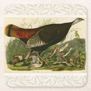 Porta-copo De Papel Quadrado Pintura de pássaros Selvagens de Audubon na Turqui