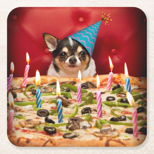 Porta-copo De Papel Quadrado Pizza Chihuahua Birthday (Frente)