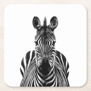 Porta-copo De Papel Quadrado Plano de backup III