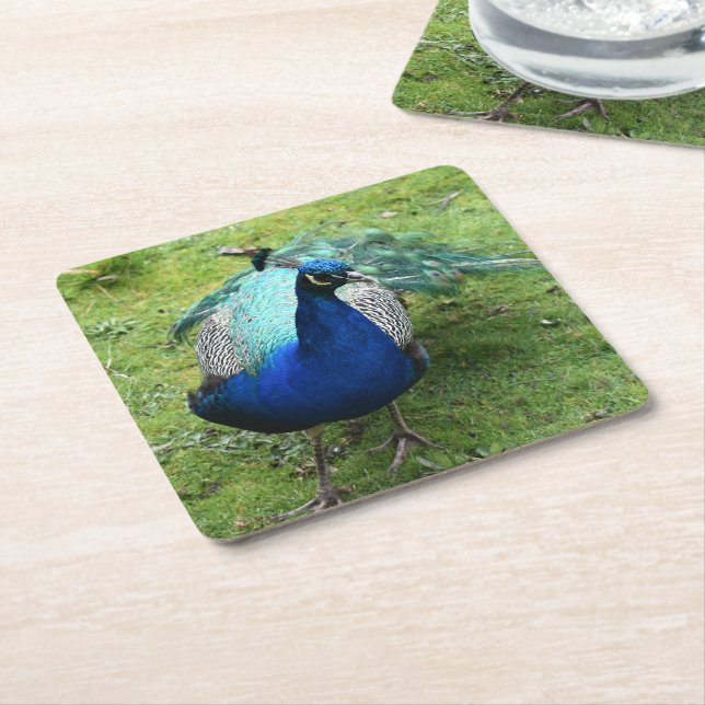 Porta-copo De Papel Quadrado Poder do Pavão Real (Inclinado)