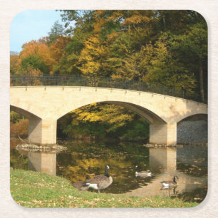 Porta-copo De Papel Quadrado Ponte do arco-íris em queda livre no Grove City Co