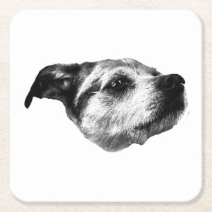 Porta-copo De Papel Quadrado Porch Light Hush — Terrier