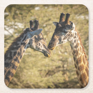 Porta-copo De Papel Quadrado Porta copos Adorável de Girafas