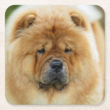 Porta copos Bamba Chow