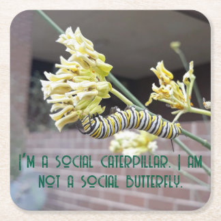 Porta-copo De Papel Quadrado Porta copos das lagartas