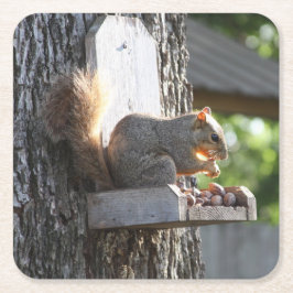 Porta-copo De Papel Quadrado Porta copos de Esquilo