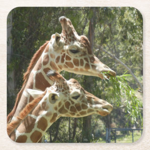 Porta-copo De Papel Quadrado Porta copos de mamãe e Baby Giraffe