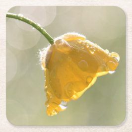 Porta-copo De Papel Quadrado Porta copos de Manteiga