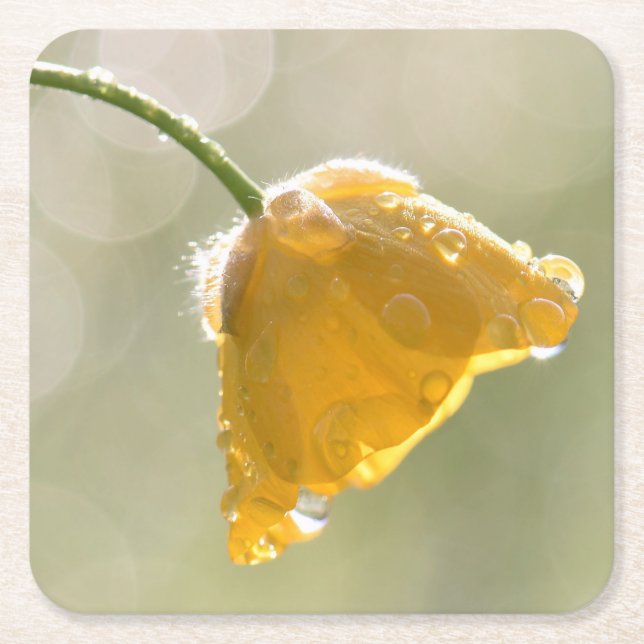 Porta-copo De Papel Quadrado Porta copos de Manteiga (Frente)