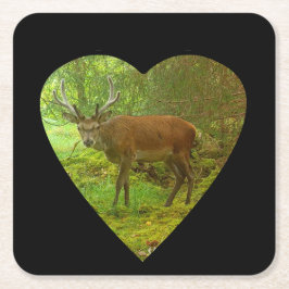 Porta-copo De Papel Quadrado Porta copos de papel de veado vermelho cauteloso