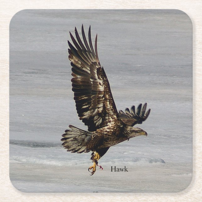 Porta-copo De Papel Quadrado Porta copos de papel Hawk (Frente)