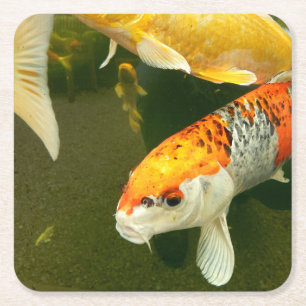 Porta-copo De Papel Quadrado Porta copos de papel Koi Carp