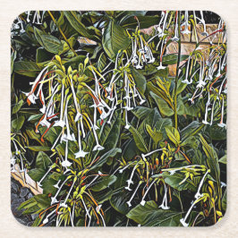 Porta-copo De Papel Quadrado Porta copos de Papel para Cigarro de Flor Oral