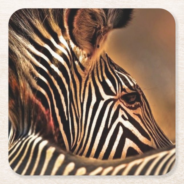 Porta-copo De Papel Quadrado Porta copos de plástico zebra (Frente)