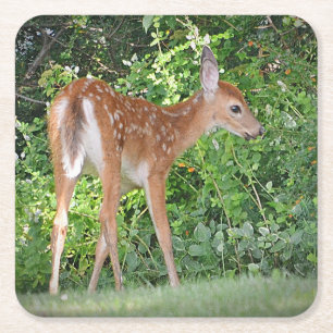 Porta-copo De Papel Quadrado Porta copos do Partido Fawn