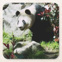 Porta copos do Sorriso Panda