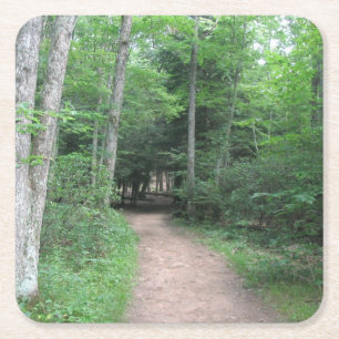 Porta-copo De Papel Quadrado Porta copos do Woodsy Path Party