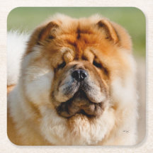 Porta copos Mojo Chow