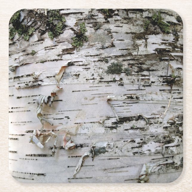 Porta-copo De Papel Quadrado Portas copos de madeira de aves 001 (Frente)