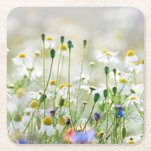 Portas copos de papel - Cornflorins e Daisies