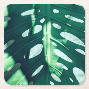 Porta-copo De Papel Quadrado Pousa Copos de Papel de Folha de Palme Verde Elega