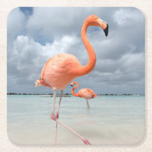 Porta-copo De Papel Quadrado Praia Aruba dos flamingos