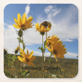 Porta-copo De Papel Quadrado Prairie Sunset square paper coaster