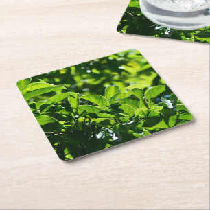 Porta-copo De Papel Quadrado primavera fresca, verão folhas verdes papel porta-