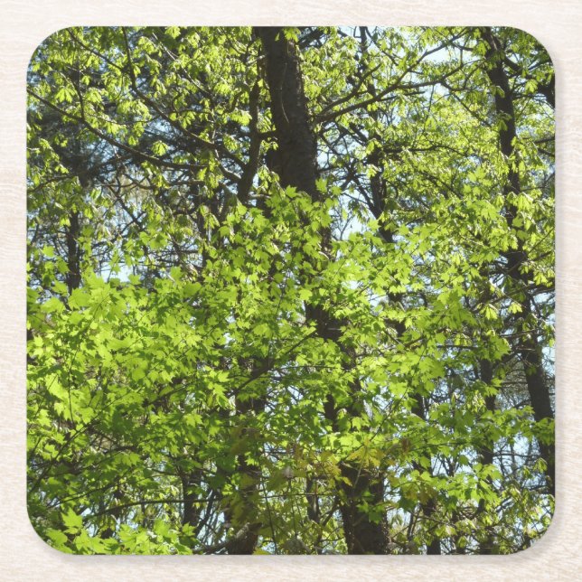 Porta-copo De Papel Quadrado Primavera Maple Deixa a natureza (Frente)