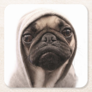 Porta-copo De Papel Quadrado Pug em um Hoodie